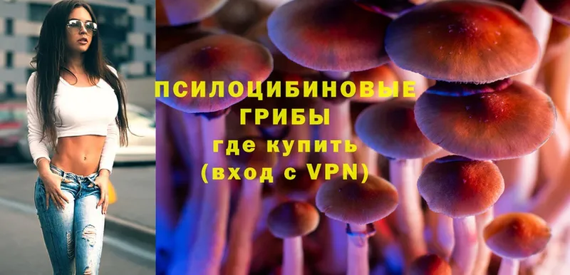 Псилоцибиновые грибы Magic Shrooms  блэк спрут онион  Аркадак 